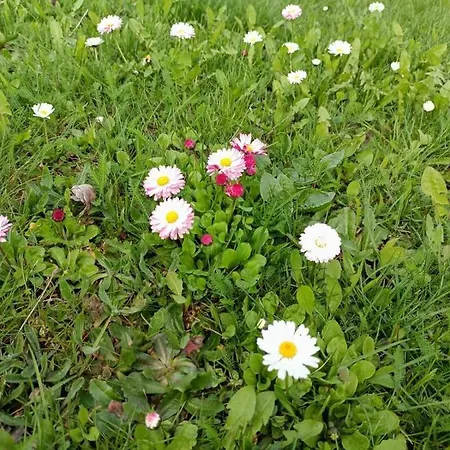 Domek Na Gorce Z Widokiem Na Mazury *