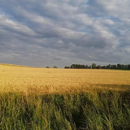 Domek Na Gorce Z Widokiem Na Mazury * Silec