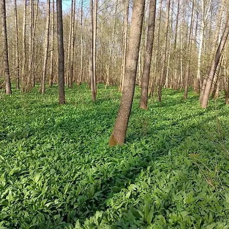 Domek Na Gorce Z Widokiem Na Mazury